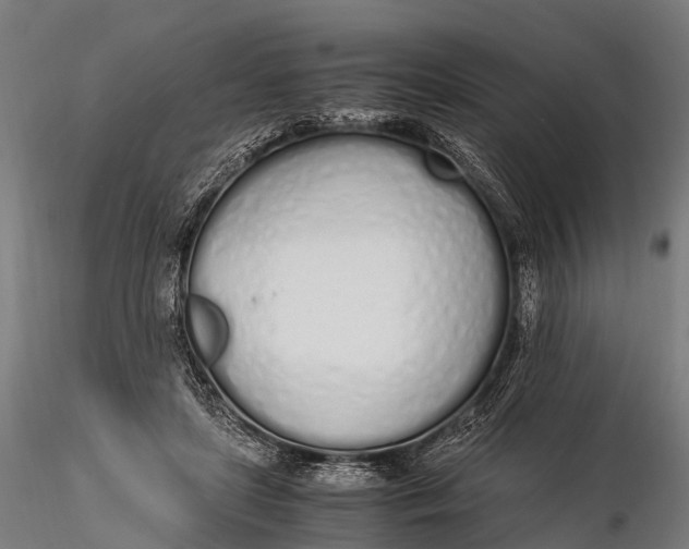 X0000115620451200912011618