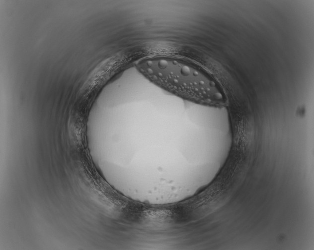 X0000115620452200912011618