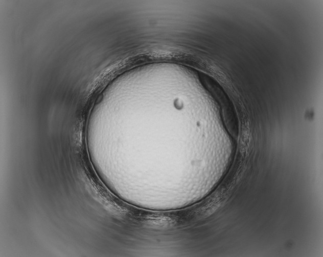 X0000115620454200912011618