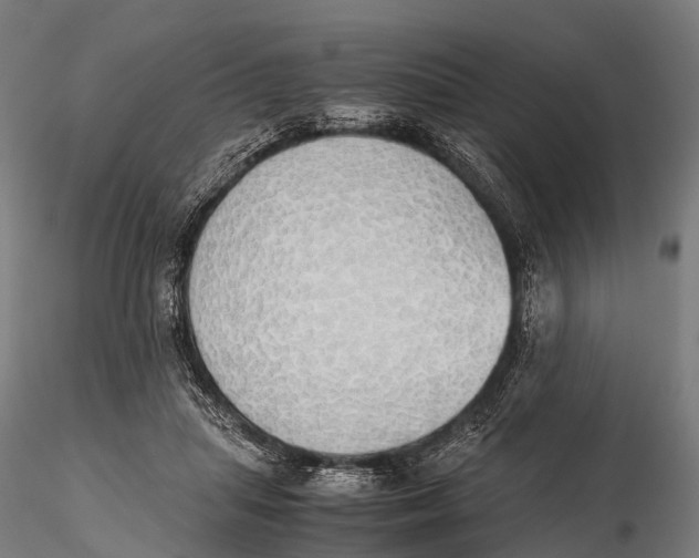 X0000115620455200912011618