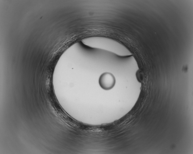 X0000115620456200912011618