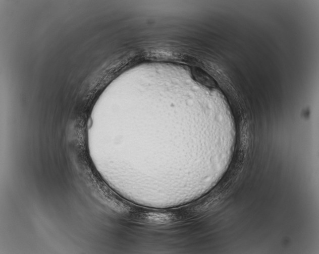 X0000115620457200912011618