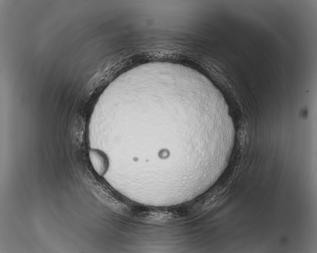 X0000115620458200912011618