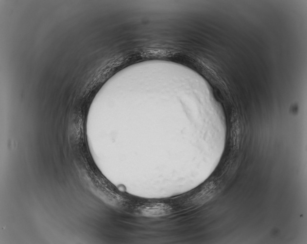 X0000115620459200912011618