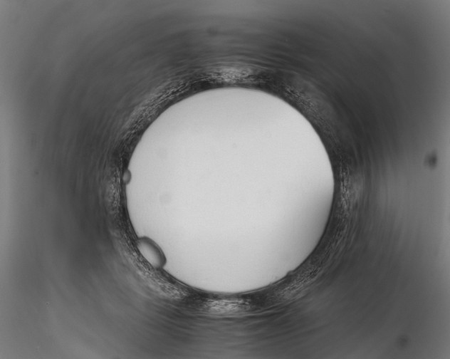 X0000115620461200912011618