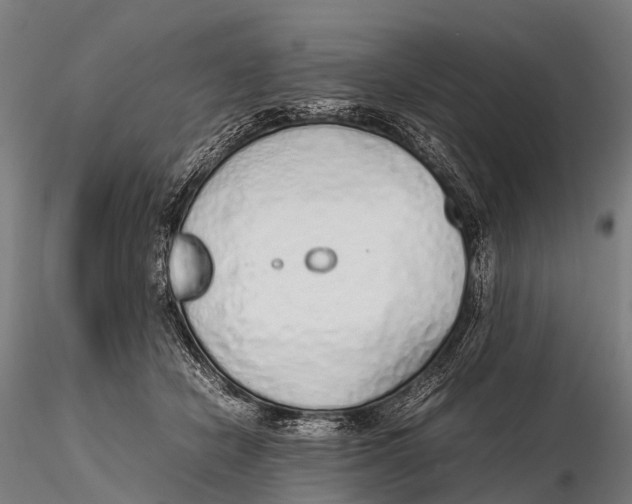 X0000115620462200912011618