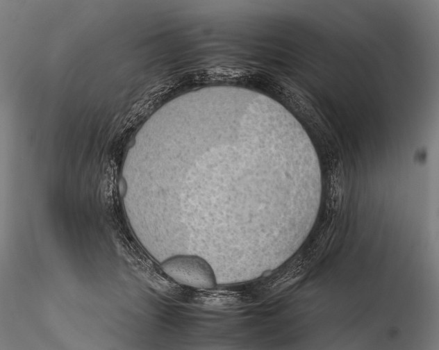 X0000115620463200912011618