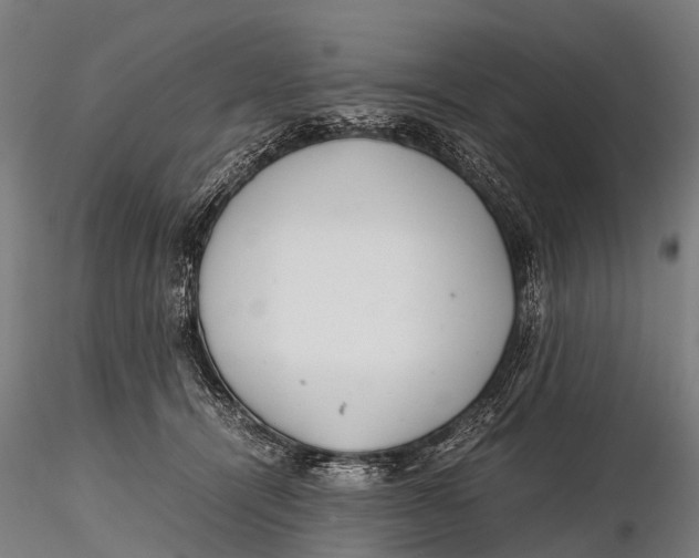 X0000115620464200912011618