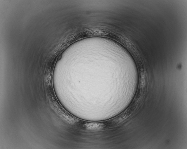 X0000115620465200912011618