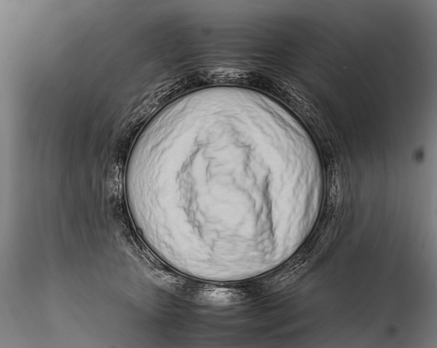 X0000115620467200912011619