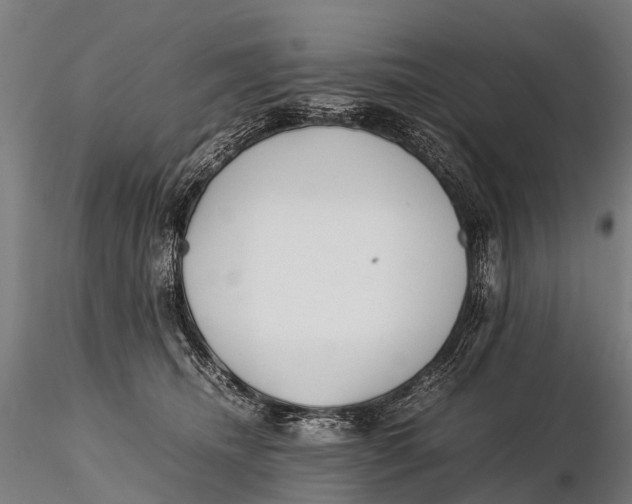 X0000115620468200912011619