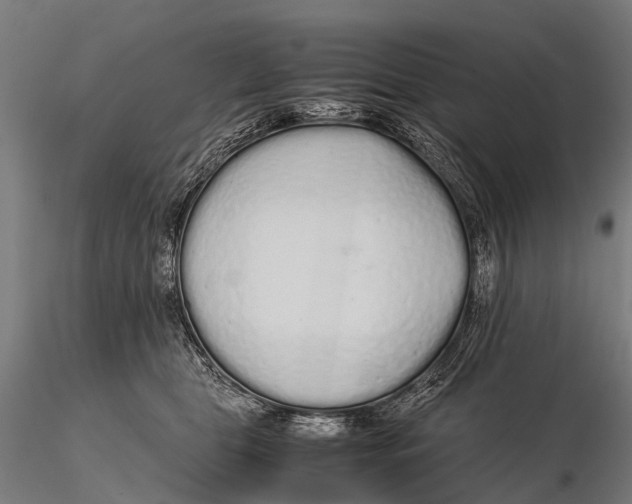 X0000115620469200912011619