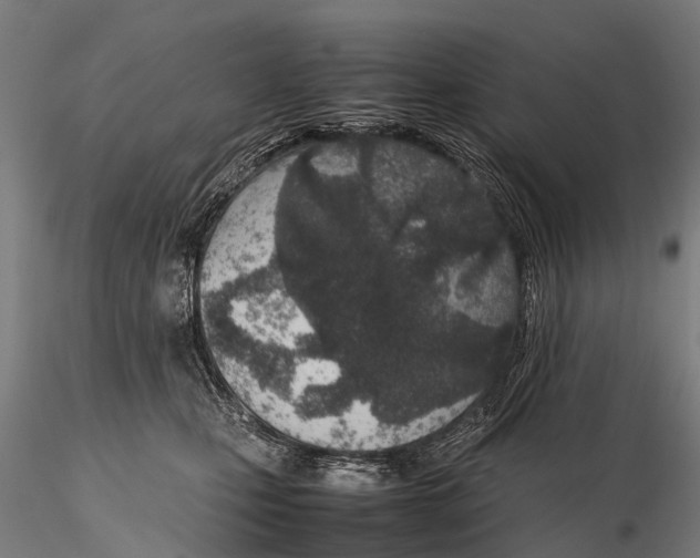 X0000115620471200912011619