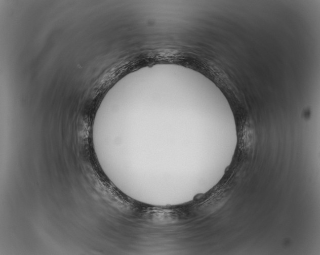 X0000115620472200912011619