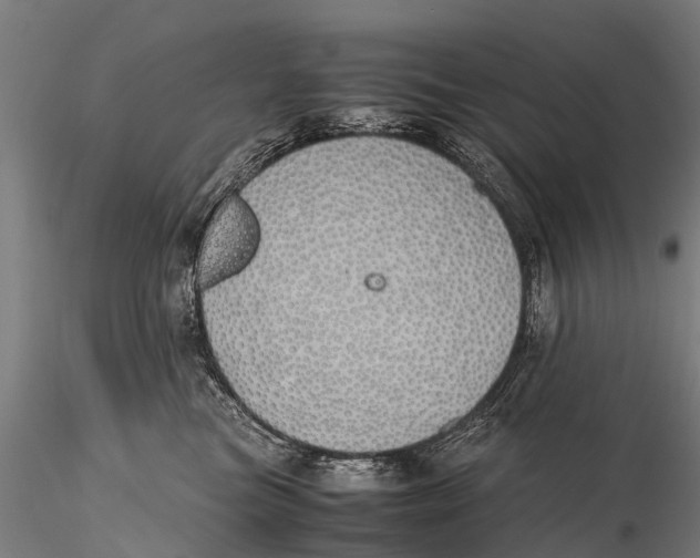 X0000115620473200912011619