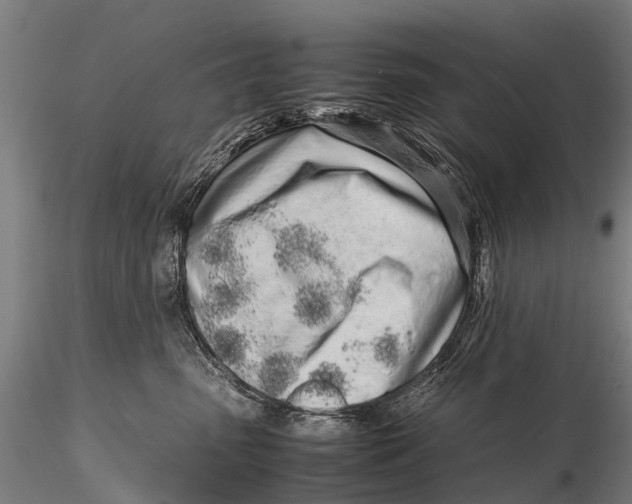 X0000115620475200912011619