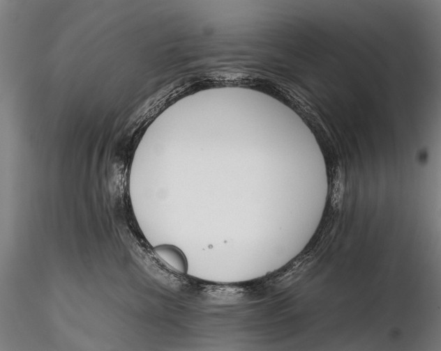 X0000115620476200912011619