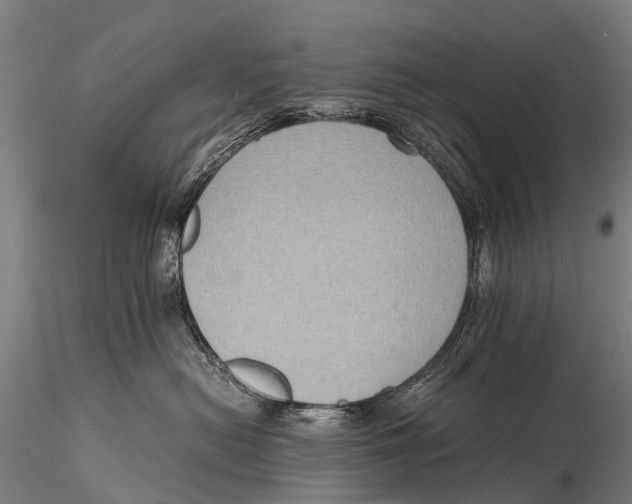 X0000115620478200912011619