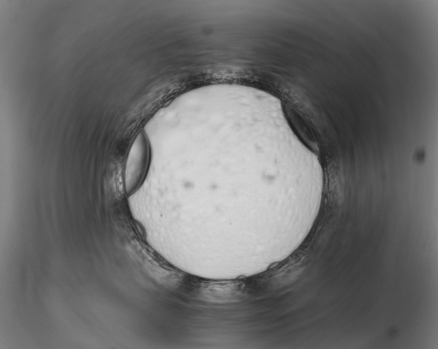 X0000115620479200912011619