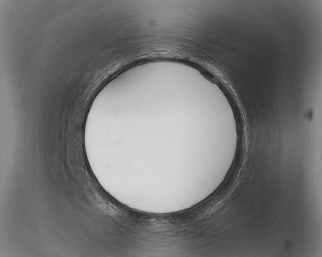 X0000115620481200912011618