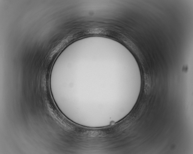 X0000115620482200912011618