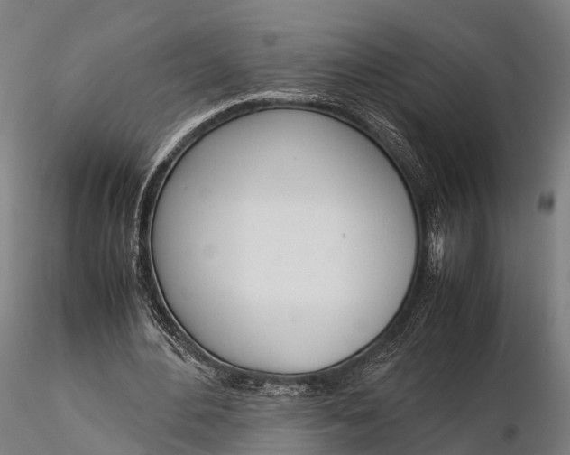 X0000115620484200912011618