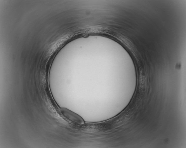 X0000115620485200912011618