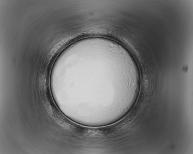 X0000115620487200912011618