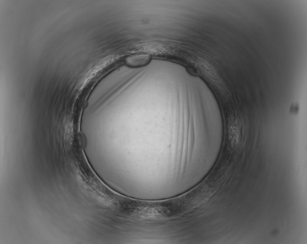 X0000115620488200912011618