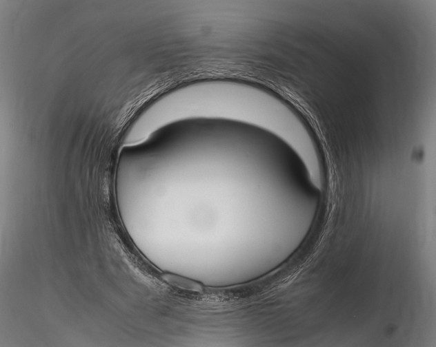 X0000115620489200912011618