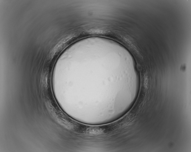 X0000115620491200912011618