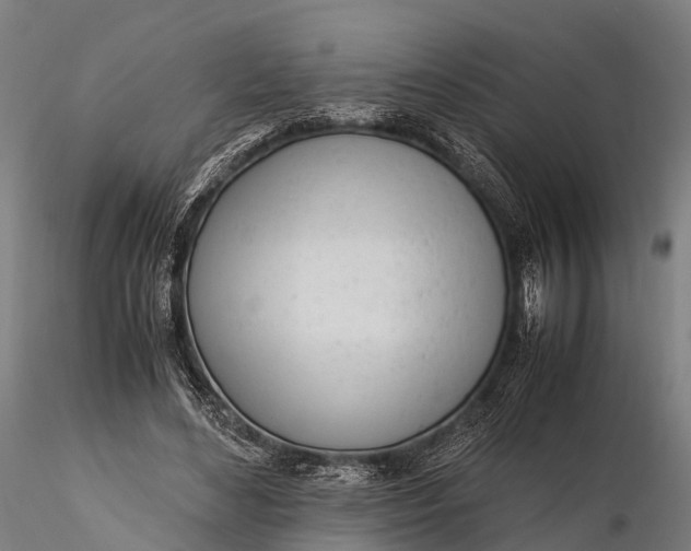 X0000115620492200912011618