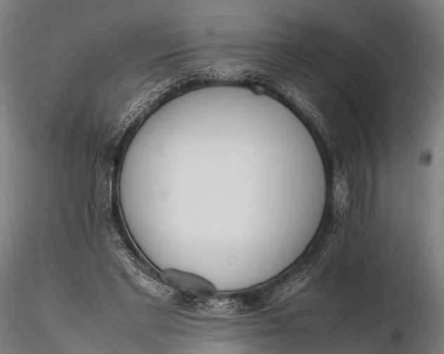 X0000115620493200912011618