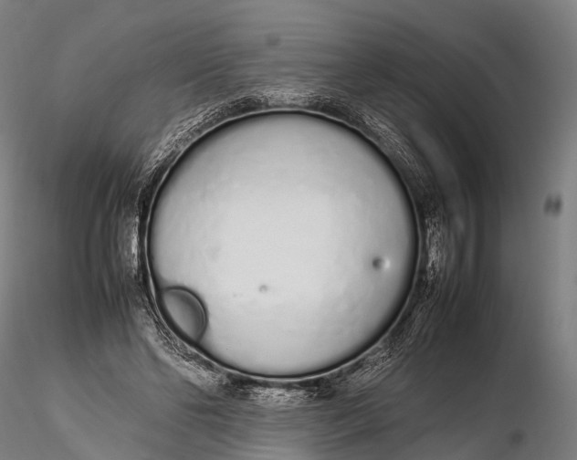 X0000115620494200912011618