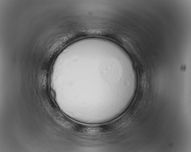 X0000115620495200912011618