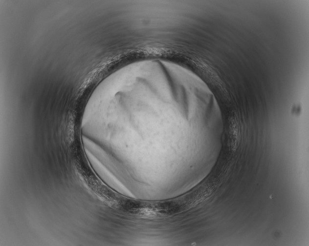 X0000115620496200912011618