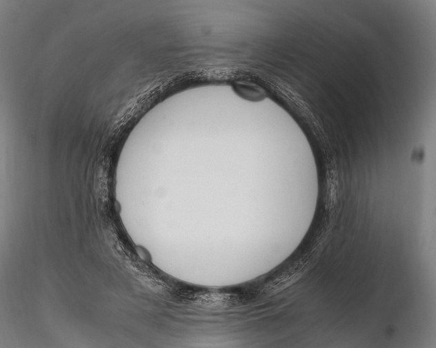 X0000115620497200912011618