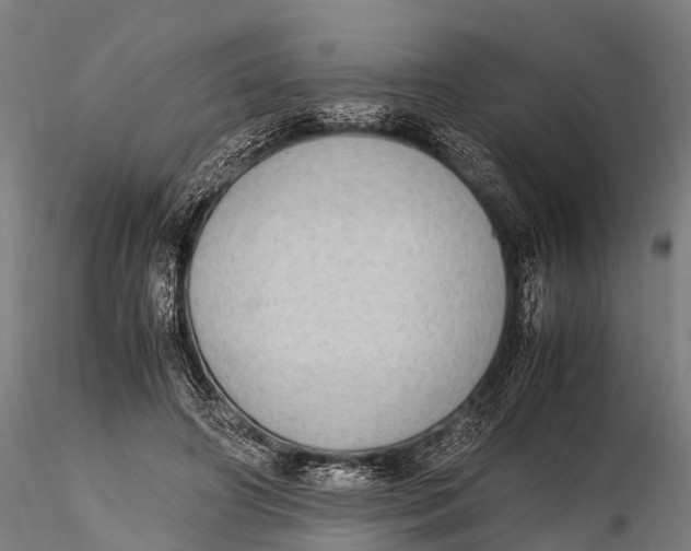 X0000115620498200912011618