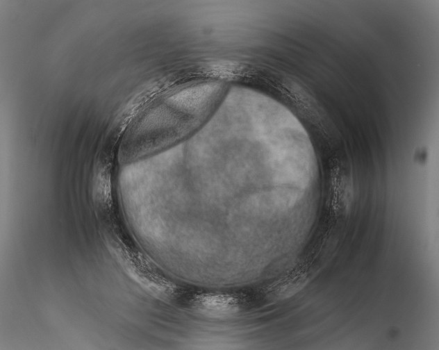 X0000115620500200912011618