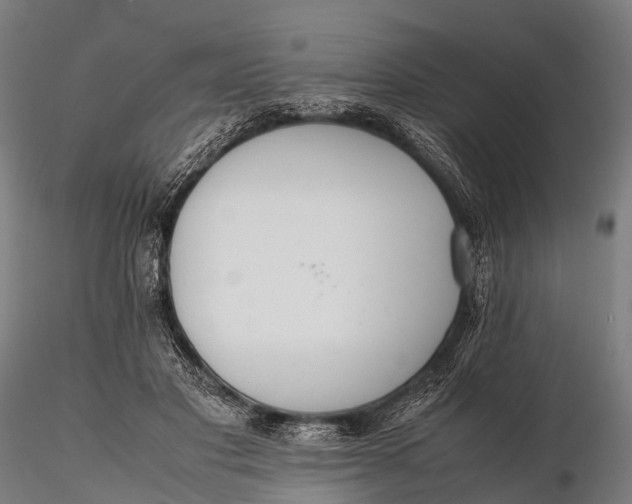 X0000115620501200912011618