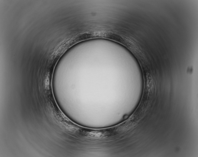 X0000115620502200912011618