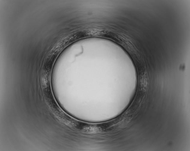 X0000115620503200912011618