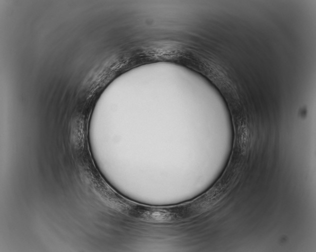 X0000115620506200912011618