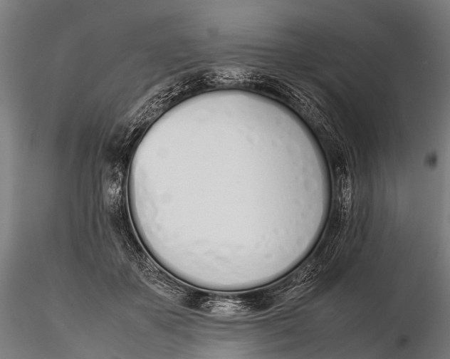 X0000115620507200912011618