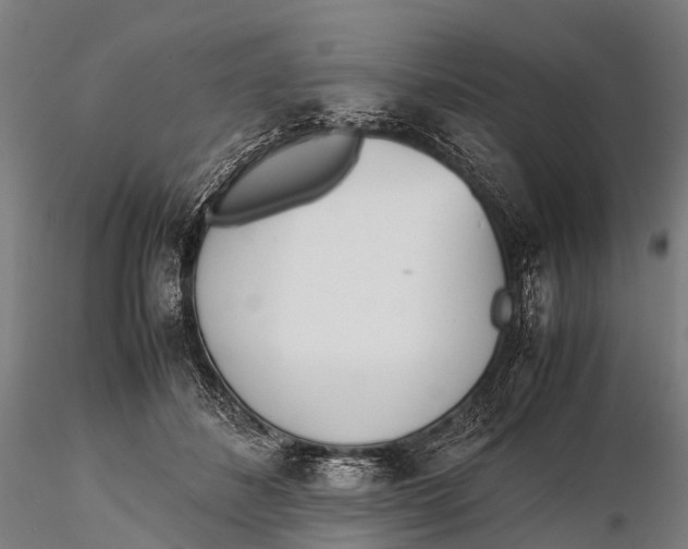 X0000115620508200912011618