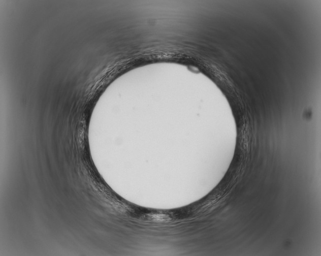 X0000115620509200912011618