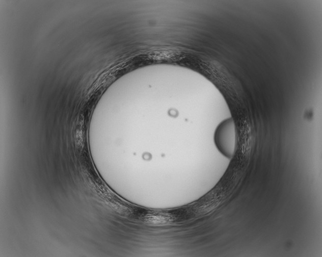 X0000115620510200912011618