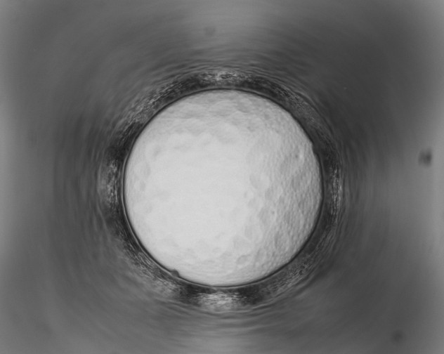 X0000115620511200912011618