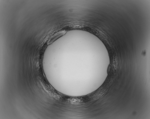 X0000115620512200912011618