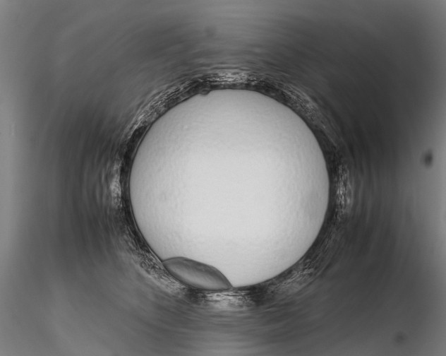 X0000115620516200912011618